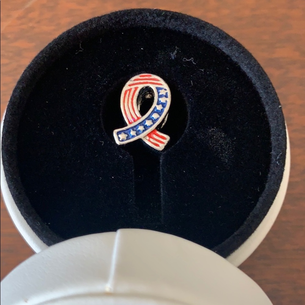 Patriot charm fits Pandora Bracelet